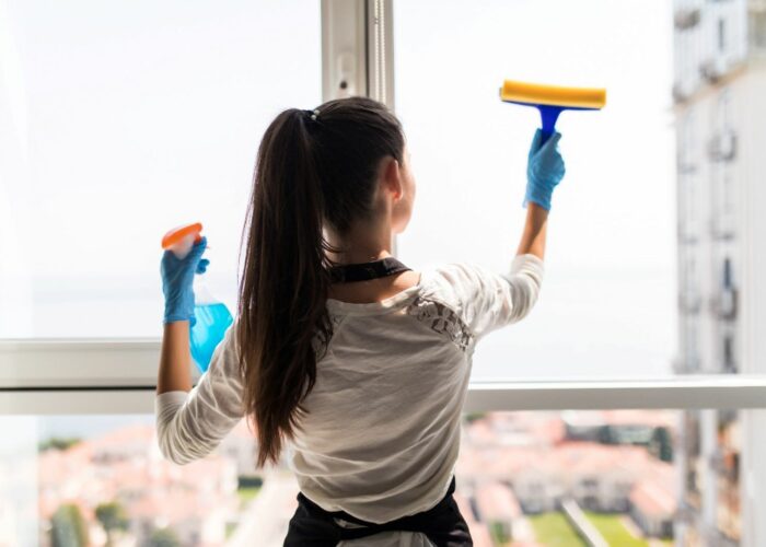 Windows Cleaning